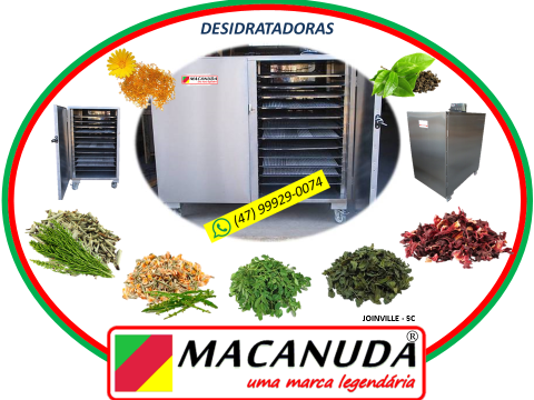 MÁQUINA DE SECAGEM DE ERVAS - SECADOR DE FRUTAS E VEGETAIS